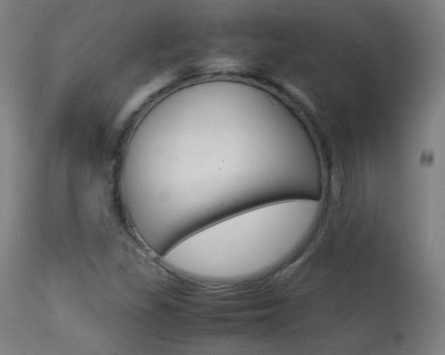 X0000113911309200909241256
