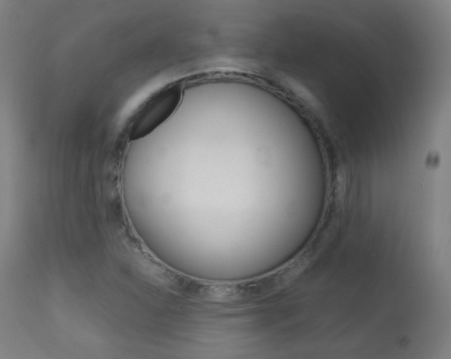 X0000113911310200909241256