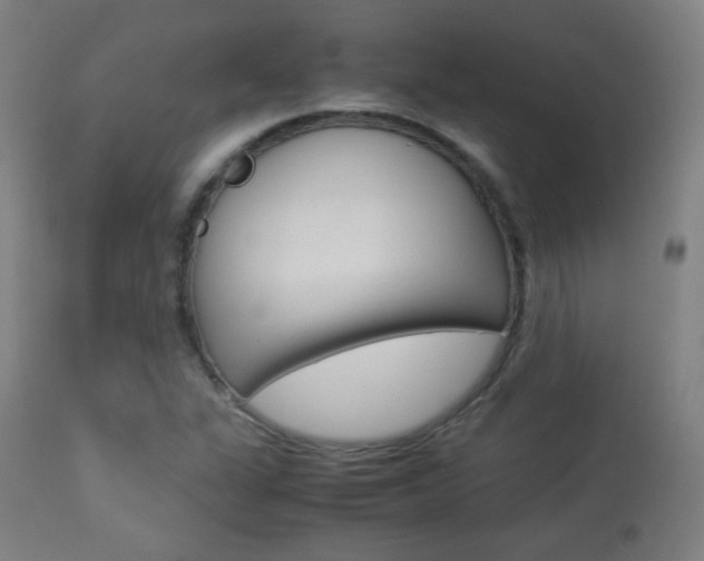 X0000113911311200909241256