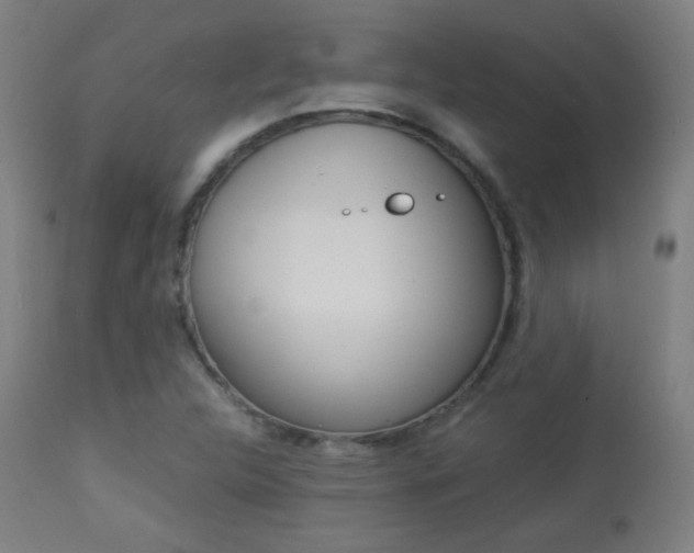 X0000113911312200909241256