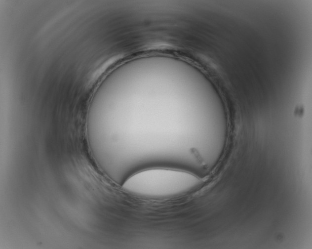 X0000113911313200909241256