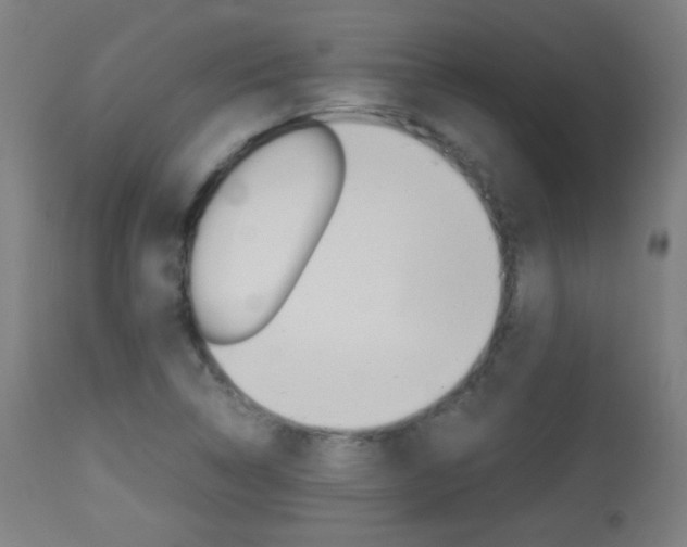 X0000113911314200909241256