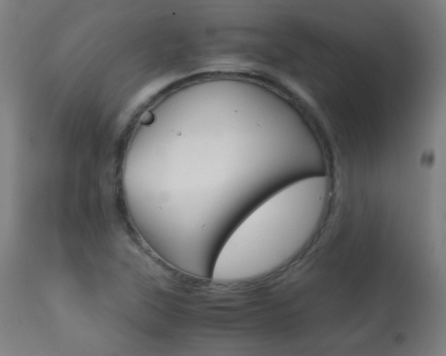 X0000113911315200909241256