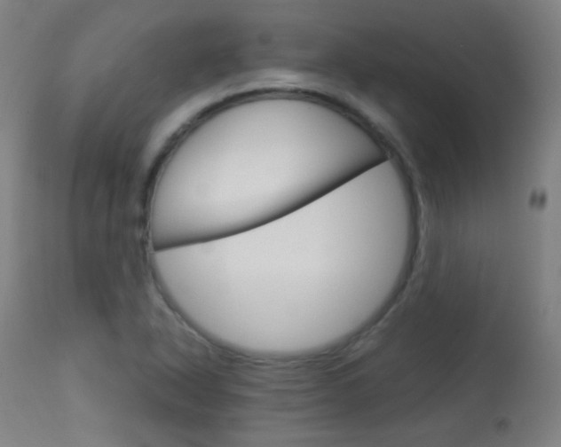 X0000113911318200909241256