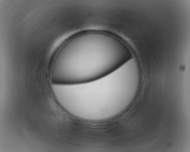 X0000113911319200909241256