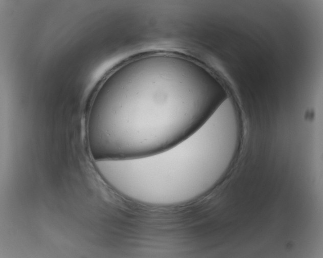 X0000113911320200909241256