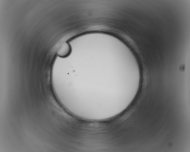 X0000113911322200909241256