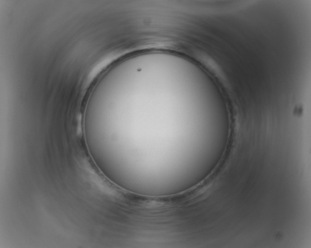 X0000113911324200909241256