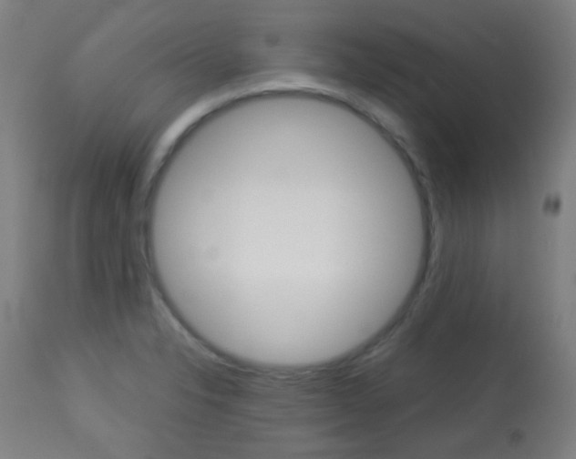 X0000113911326200909241256