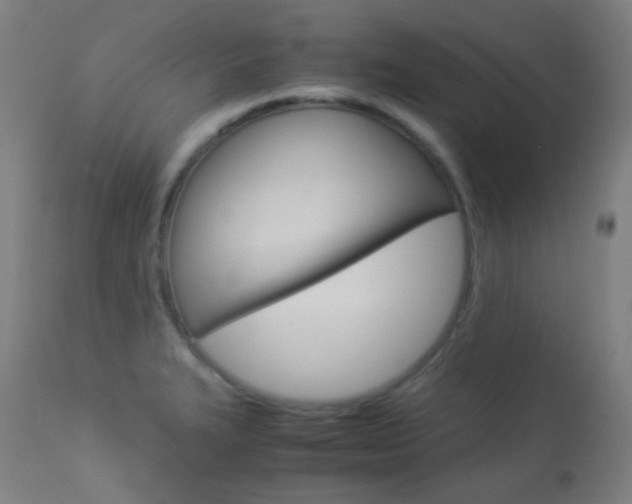 X0000113911327200909241256