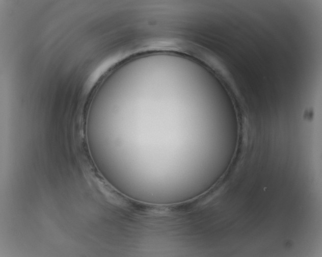 X0000113911328200909241256