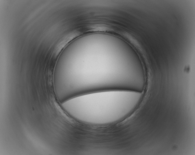 X0000113911329200909241256
