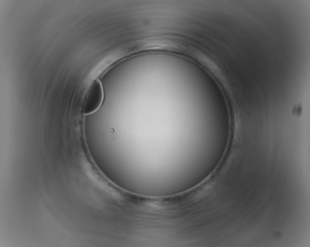 X0000113911330200909241256