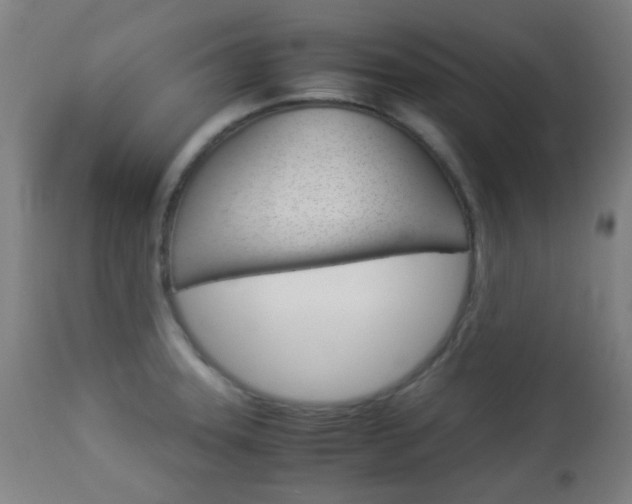 X0000113911331200909241256
