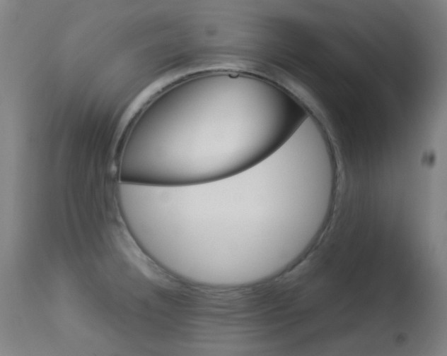 X0000113911332200909241256