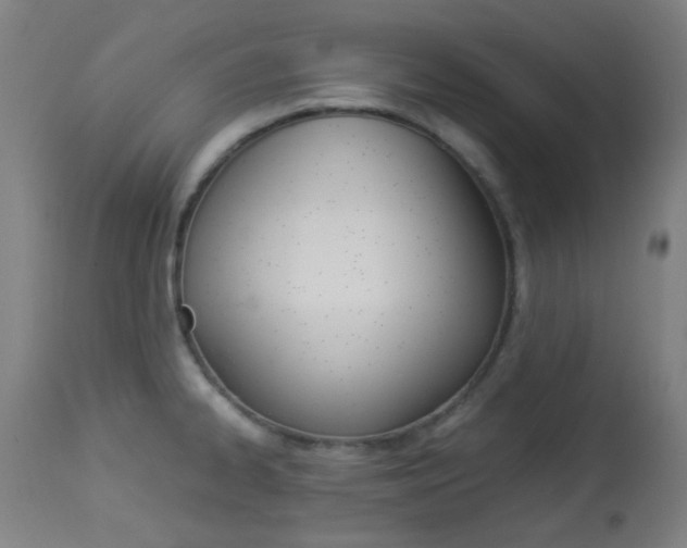 X0000113911334200909241256