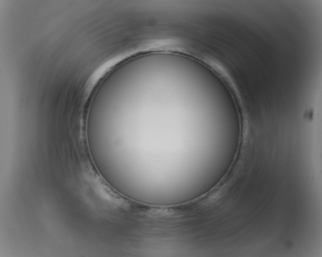 X0000113911336200909241256