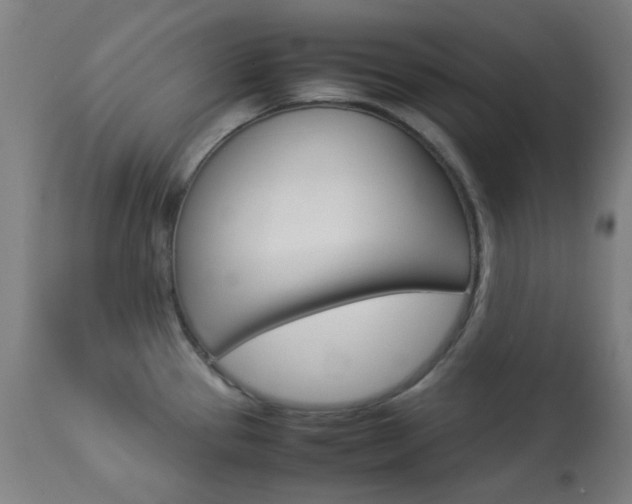 X0000113911337200909241256