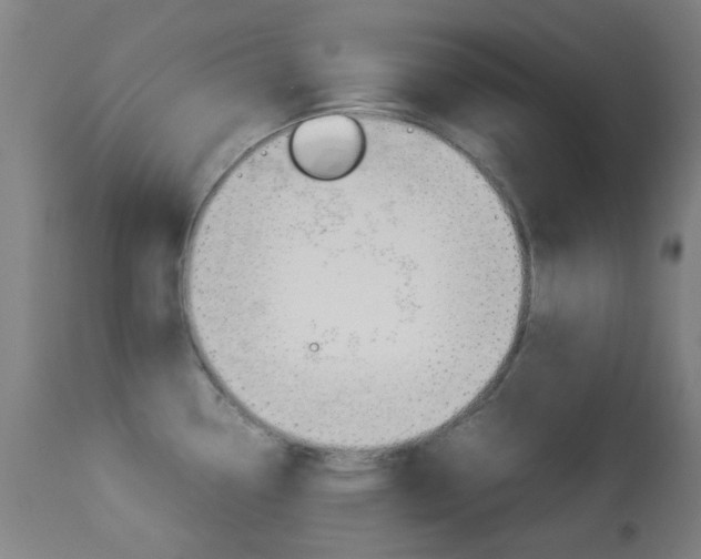 X0000113911338200909241256