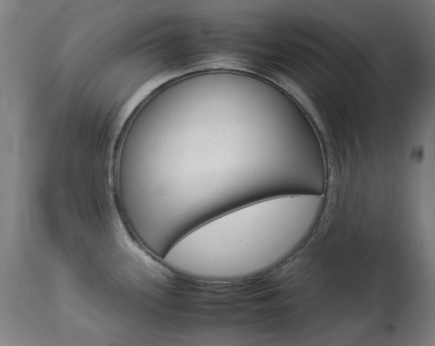 X0000113911339200909241256