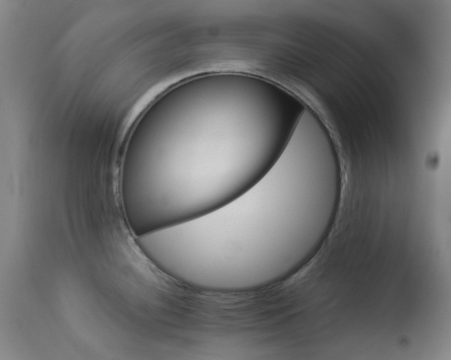 X0000113911340200909241256