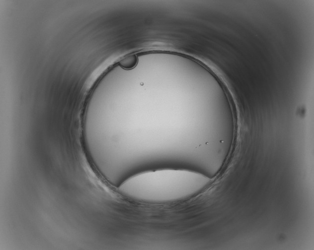 X0000113911341200909241256