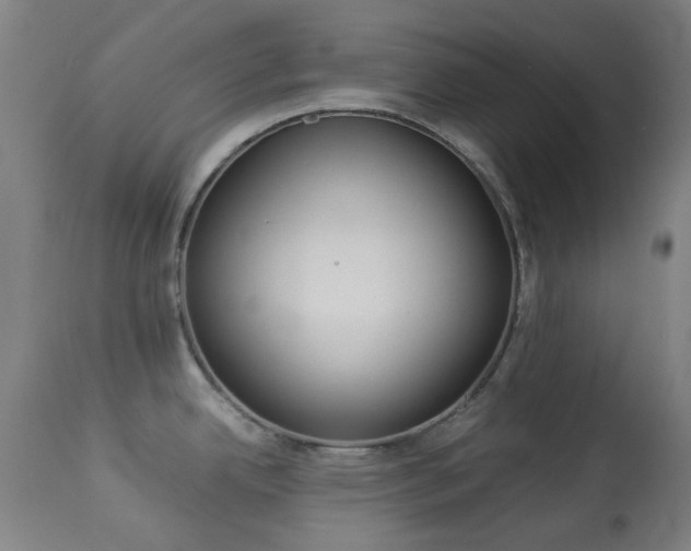 X0000113911342200909241256