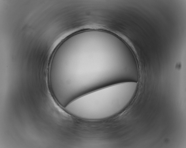 X0000113911343200909241256