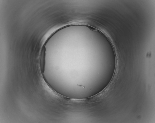 X0000113911344200909241256