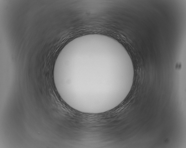 X0000113911345200909241255