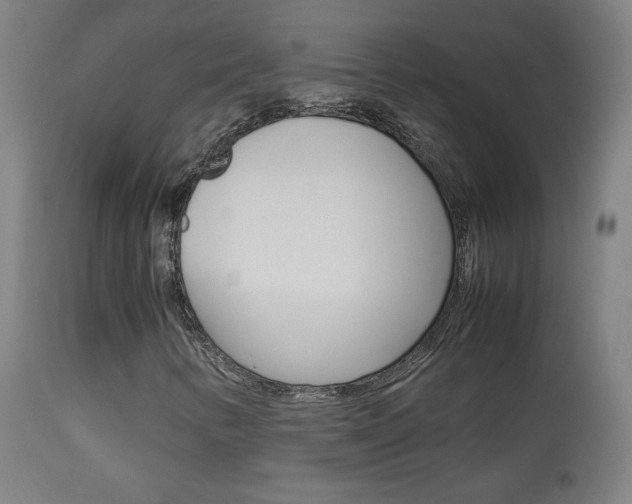 X0000113911346200909241255