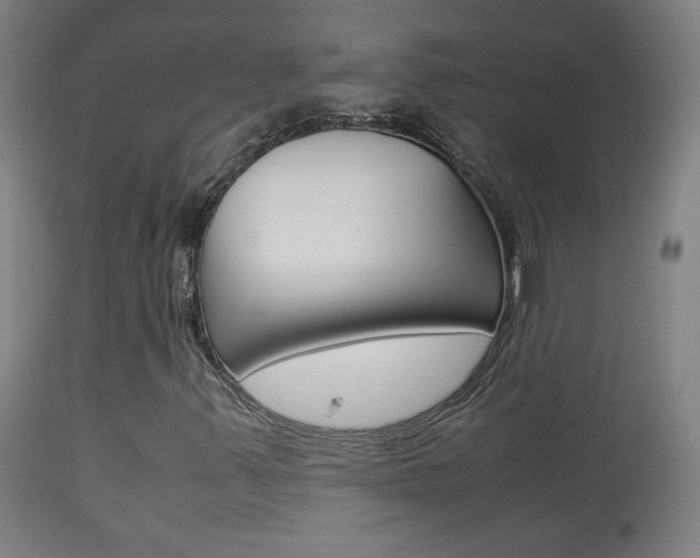 X0000113911347200909241255