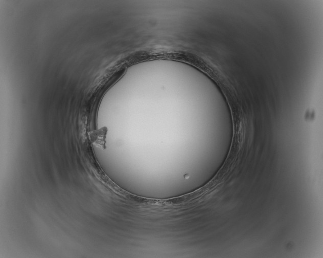 X0000113911348200909241255