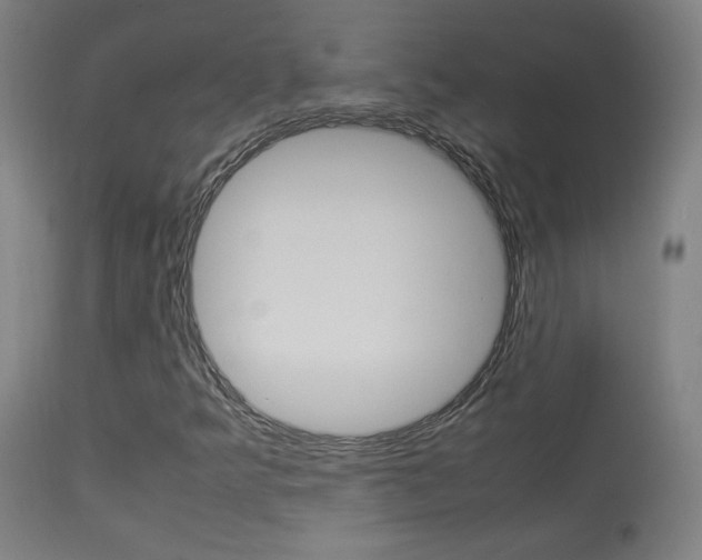 X0000113911349200909241255