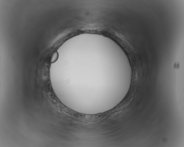 X0000113911350200909241255