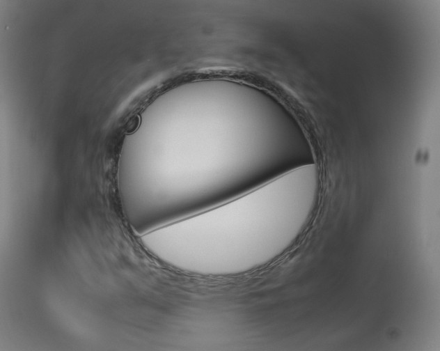X0000113911351200909241255