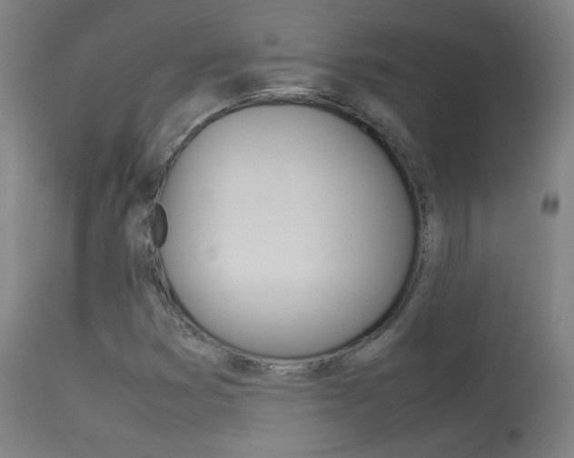 X0000113911353200909241255