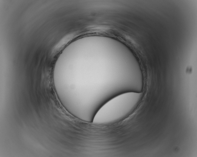 X0000113911354200909241255