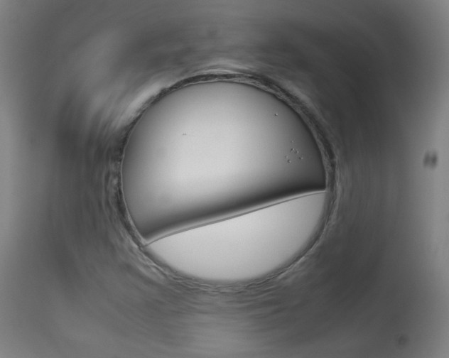 X0000113911355200909241255