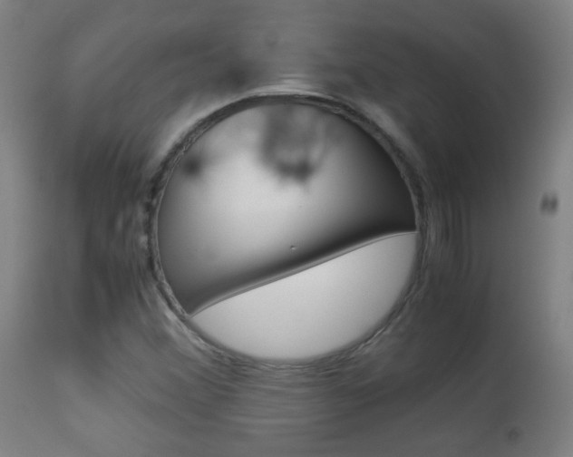 X0000113911356200909241255