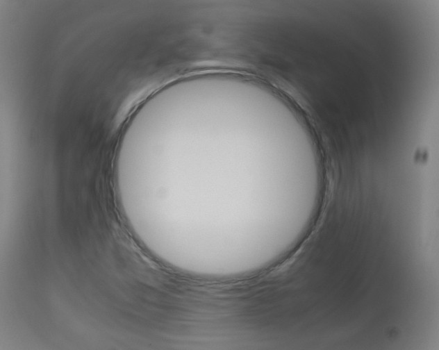 X0000113911357200909241255