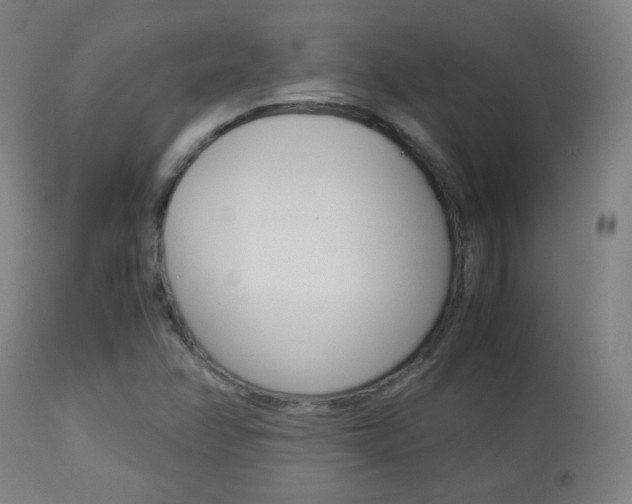 X0000113911358200909241255