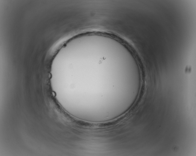 X0000113911359200909241255