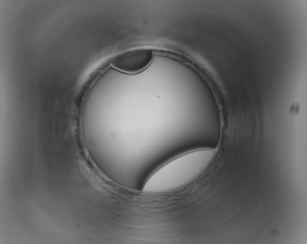 X0000113911360200909241255