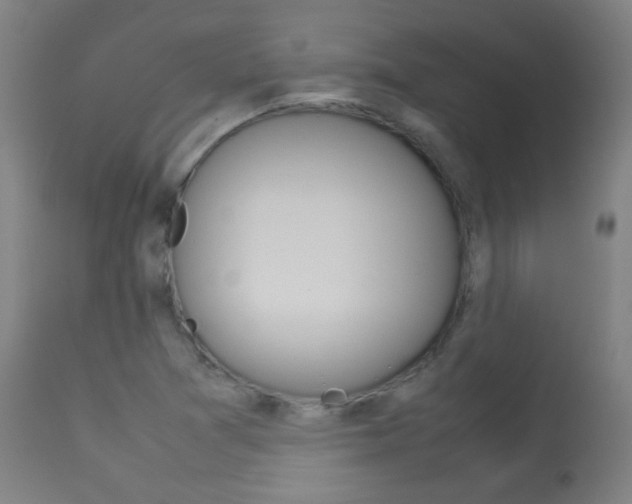 X0000113911361200909241255