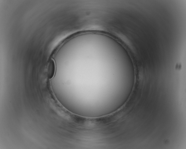 X0000113911364200909241255
