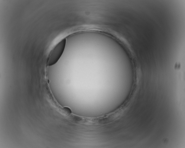 X0000113911365200909241255