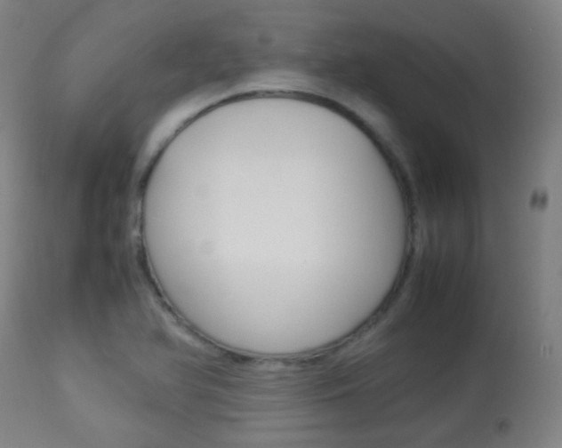 X0000113911366200909241255