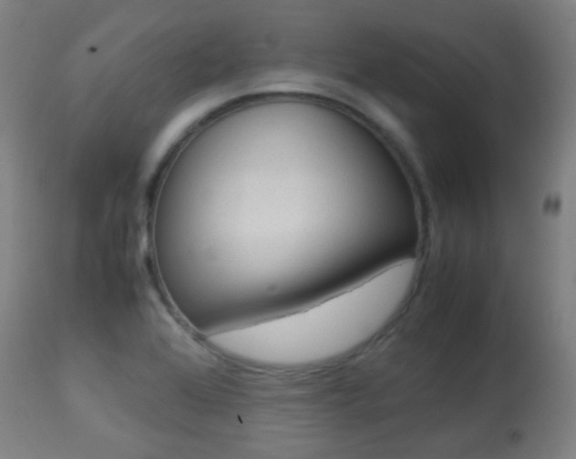 X0000113911368200909241255