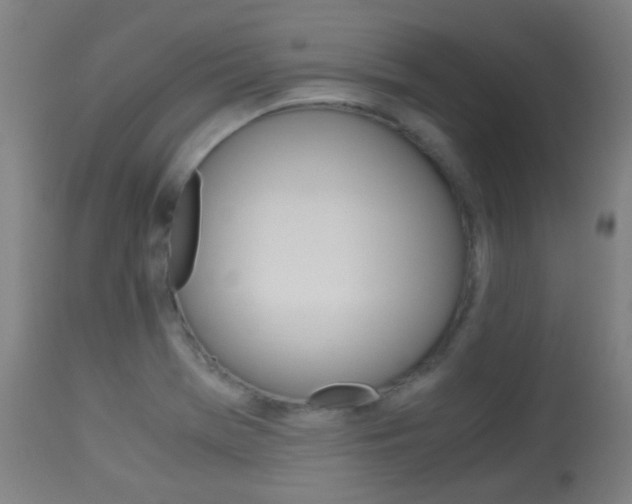 X0000113911369200909241255